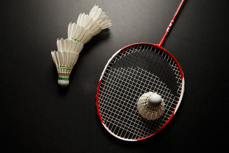 力于AC米 力于AC米