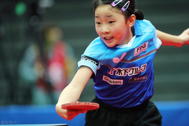 朱正的复出 朱正的复出